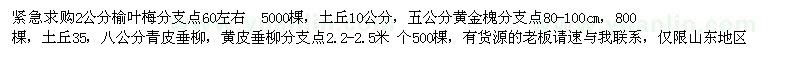 求購黃金槐、榆葉梅、垂柳