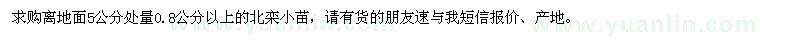 求購離地面5公分處量0.8公分以上北欒小苗
