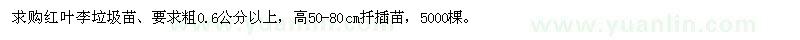 求購紅葉李垃圾苗