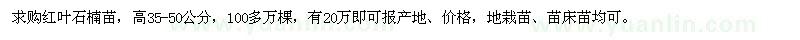 求購高35-50公分紅葉石楠苗