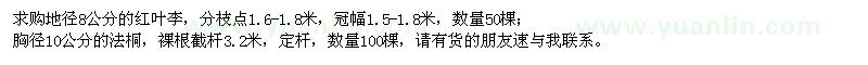 求購紅葉李、法桐