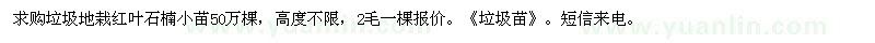 求購垃圾地栽紅葉石楠小苗