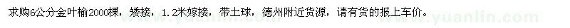 求購6公分金葉榆