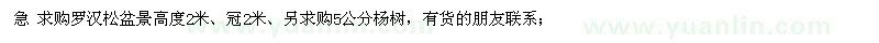 求購羅漢松盆景高度