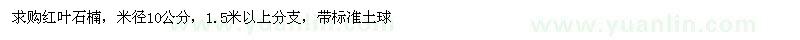 求購米徑10公分紅葉石楠