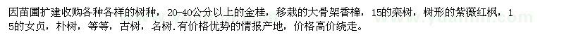 求購(gòu)各種大規(guī)格金桂、欒樹(shù)、紫薇等