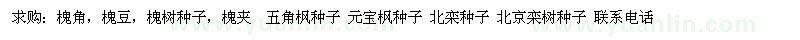 求購槐角、槐豆、槐樹種子等