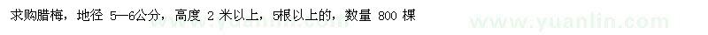 求購地徑 5-6公分臘梅