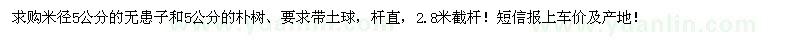 求購米徑5公分無患子、樸樹