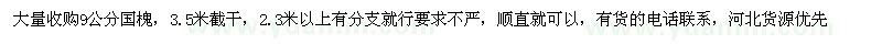 求購9公分國槐 
