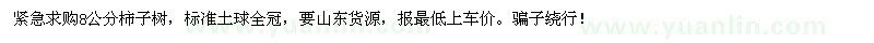 求購(gòu)8公分柿子樹