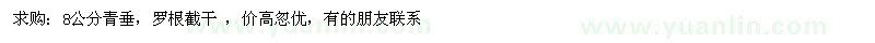 求購(gòu)8公分青垂