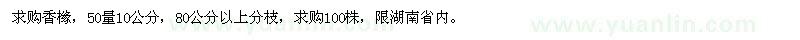 求購50量10公分香櫞