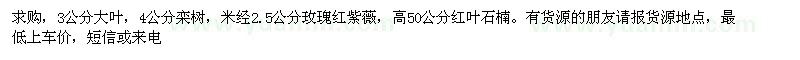求購欒樹、玫瑰紅紫薇、紅葉石楠 