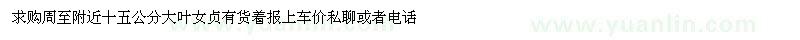 求購15公分大葉女貞