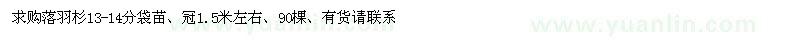 求購13-14公分落羽杉袋苗 