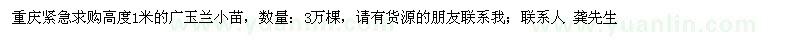 求購高1米廣玉蘭小苗