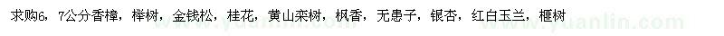 求購香樟、櫸樹、金錢松等