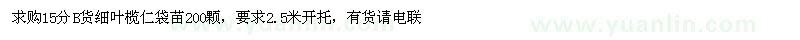 求購15公分細葉欖仁袋苗