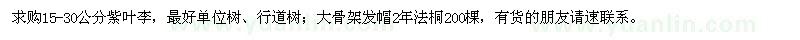 求購紫葉李、法桐