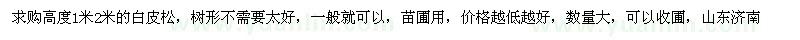 求購高1、2米白皮松 