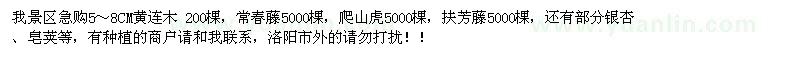 求購5-8公分黃連木