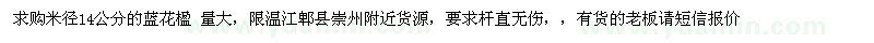 求購米徑14公分藍(lán)花楹 