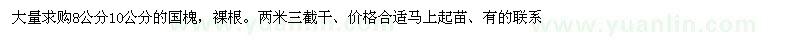 求購(gòu)8、10公分國(guó)槐 