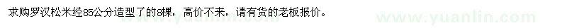 求購經(jīng)85公分羅漢松