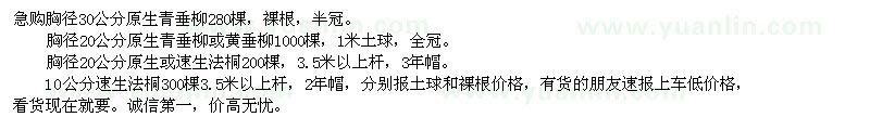 求購青垂柳或黃垂柳、速生法桐