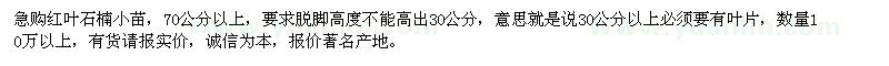 求購70公分以上紅葉石楠小苗