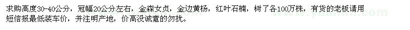 求購金森女貞、金邊黃楊、紅葉石楠