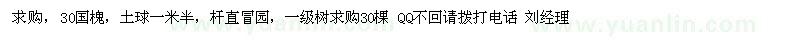 求購30公分國槐