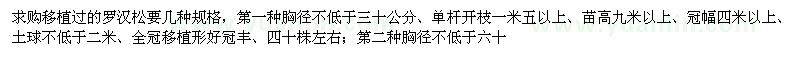 求購羅漢松