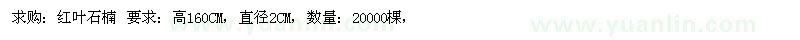 求購高160公分紅葉石楠