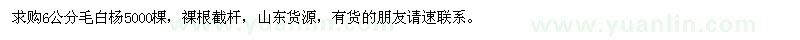 求購6公分毛白楊