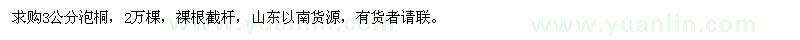 求購3公分泡桐