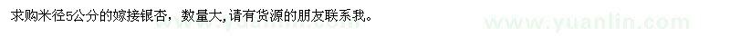 求購米徑5公分銀杏