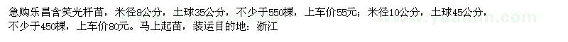求購米徑8、10公分樂昌含笑光桿苗