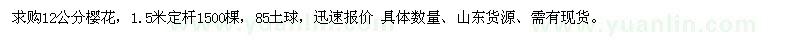 求購12公分櫻花