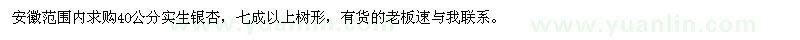 求購40公分銀杏