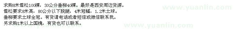 求購雪松、垂柳、國槐