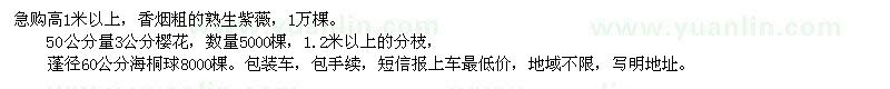 求購紫薇、櫻花、海桐球