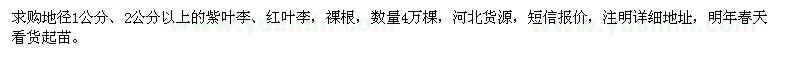 求購地徑1、2公分以上紫葉李、紅葉李