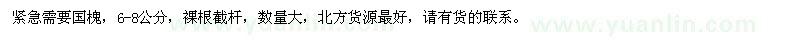 求購6-8公分國槐