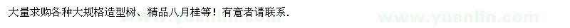 求購大規格造型樹(shù)、桂花樹(shù)