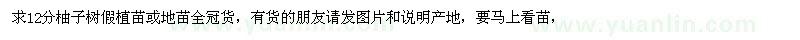 求購12公分柚子樹(shù)假植苗或地苗