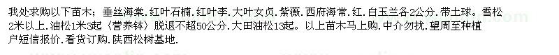 求購垂絲海棠、紅葉石楠、紅葉李等