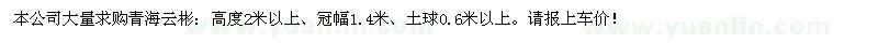 求購高2米以上云彬