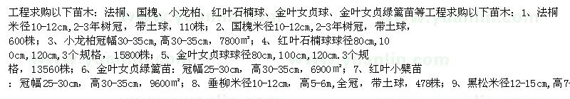 求購法桐、國槐、小龍柏等
